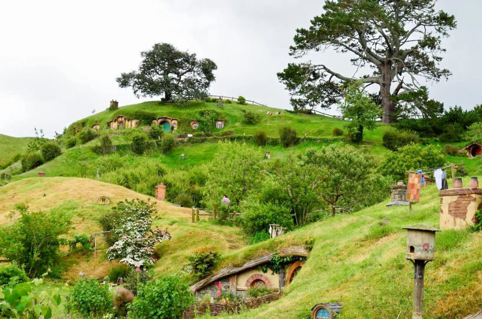 20221210 - Farvel til NZ -2022-12-10 IMG_7011