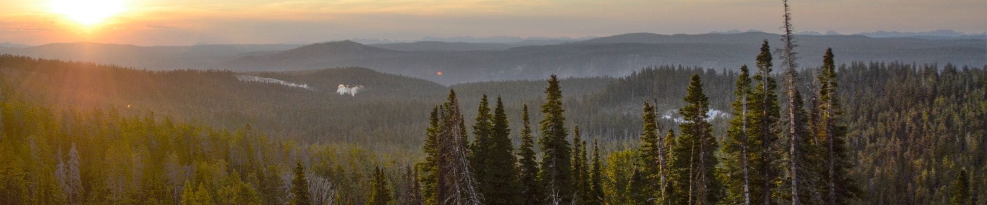 2016 - Yellowstone